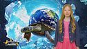 Stella's World - La tartaruga