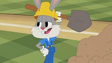 Il campo da baseball