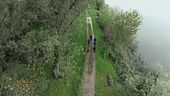 Camminare sulla via Carolingia