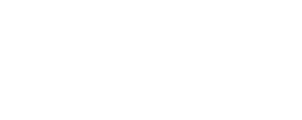 The brutalist - Film Mediaset Infinity