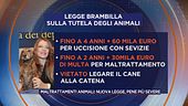 Maltrattamenti animali: nuova legge, pene di più severe