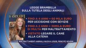 Maltrattamenti animali: nuova legge, pene di più severe