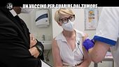 PECORARO: Un vaccino per guarire dal tumore