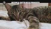 RUGGERI: Uccide il gatto della fidanzata