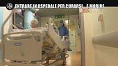 PECORARO: Entrare in ospedale per curarsi... e morire