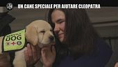VIVIANI: Un cane speciale per aiutare Cleopatra