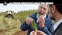 BARRACO: La canapa industriale non è una droga!