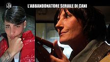 NINA: L'abbandonatore seriale di cani