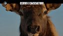 NINA: Cervi e cacciatori
