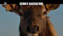NINA: Cervi e cacciatori