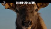 NINA: Cervi e cacciatori