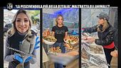 ROMA: "La pescivendola più bella d'Italia" maltratta gli animali?