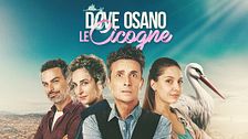 Dove osano le cicogne