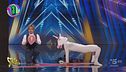 Al primo posto della classifica de I Nuovi Mostri una performance bestiale