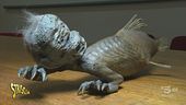 Milano. La finta sirena del Museo Civico di Storia Naturale