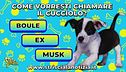Come vuoi chiamare il cucciolo?