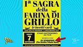 Alla sagra della farina di grillo suonavano… gli scarafaggi