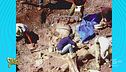 Fantarcheologia: così son bravi tutti a fare i paleontologi!