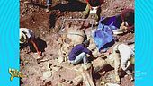 Fantarcheologia: così son bravi tutti a fare i paleontologi!