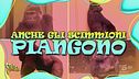 Anche gli scimmioni piangono… e bisticciano