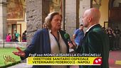 Oggi a Striscia: spedizione punitiva (e in diretta social) all'ospedale veterinario Federico II di Napoli