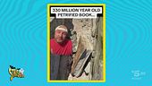 Capitan Ventosa e quello che sembra un "libro" di pietra da 330 milioni di anni. Verità o bufala?