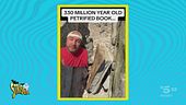 Capitan Ventosa e quello che sembra un "libro" di pietra da 330 milioni di anni. Verità o bufala?