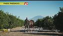 Davide Rampello e i liquori di Misterbianco