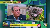 Che satira tira? Le iguane possono entrare in Parlamento