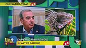 Che satira tira? Le iguane possono entrare in Parlamento