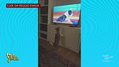Anche i cagnolini guardano il nostro Musk alla tv: mandateci i loro video!