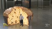 Alla scoperta della comunità di San Patrignano e del suo "SanPanettone"