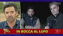 Lupi, mezzi pubblici e vulcani dalla strana altitudine: ecco i vostri video-Frix!