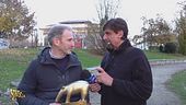 Questa sera a Striscia la notizia Valerio Staffelli consegna il Tapiro d'oro a Davide Casaleggio, figlio del cofondatore del Movimento 5 Stelle Gianroberto Casaleggio