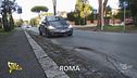A Roma le radici mettono a rischio la sicurezza stradale