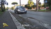 A Roma le radici mettono a rischio la sicurezza stradale