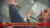 Chiara Squaglia ci mostra papere, ibis rossi, pappagalli e serpenti in condizioni di detenzione non idonee