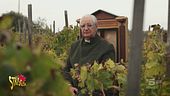 Rampello nella città del vino eterno: Marsala