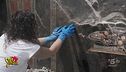 Fantarcheologia, Capitan Ventosa vuole datare una "presunta" pizza pompeiana