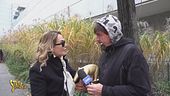 Anticipazione del Tapiro d'oro "benaugurante" a Barbara d'Urso, da un anno lontana dai riflettori tv