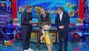 Monteu Roero, prima olimpiade del cane da tartufo
