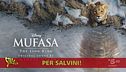 "Frix": Mufasa è diventato un leghista?