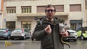 Stasera a Striscia: a Sanremo 2025 i "soliti" autori firmano quasi tutti i brani in gara. Sarà un monopolio?