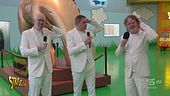 Morello x3 contro il duplicatore di euro