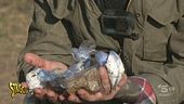 Brumotti scopre mezzo chilo di droga a Parona (Pavia)