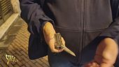 Stasera a Striscia: un nostro attore (con un coltello alla cintura) buca l'imponente servizio di sicurezza di Sanremo