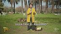 A Palermo il Carnevale dei supereroi della natura all'insegna dell'ecologia