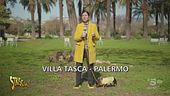 A Palermo il Carnevale dei supereroi della natura all'insegna dell'ecologia