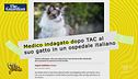 Medico fa TAC in ospedale al proprio gatto ferito: ha fatto bene?