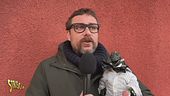 Scoop di Striscia la notizia sul festival di Sanremo: Olly sarebbe stato agevolato anche durante la seconda esibizione